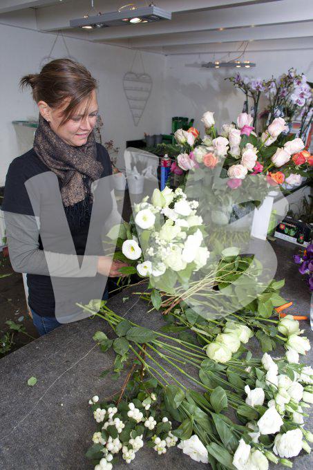 bloemen en planten vvbvanbree     1166
